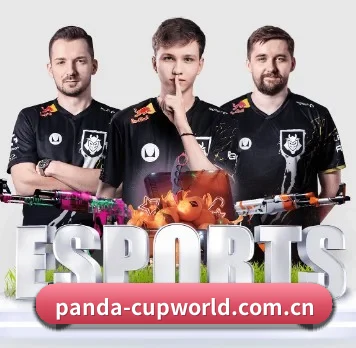 熊猫足球 APP | Panda Sports